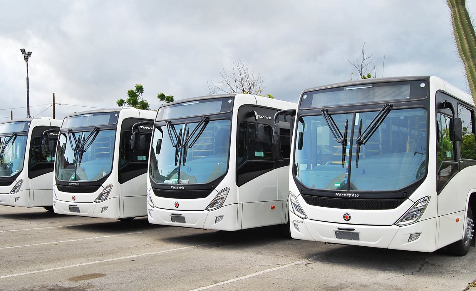 Passenger transport Passenger transport